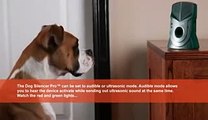 Stop dog barking when left alone