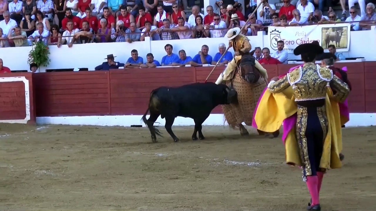 Morenito de Aranda - Aire