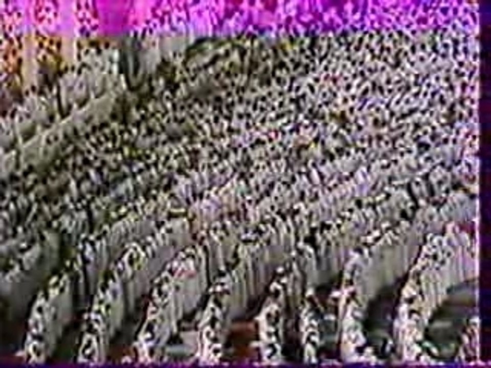 Ali Jaber Sourate Ar-Rahman