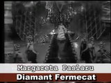 Margareta Paslaru _ Diamant Fermecat (Premiul de creatie - Concursul TV 