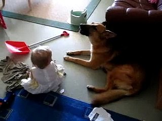 Donna's Little Helper