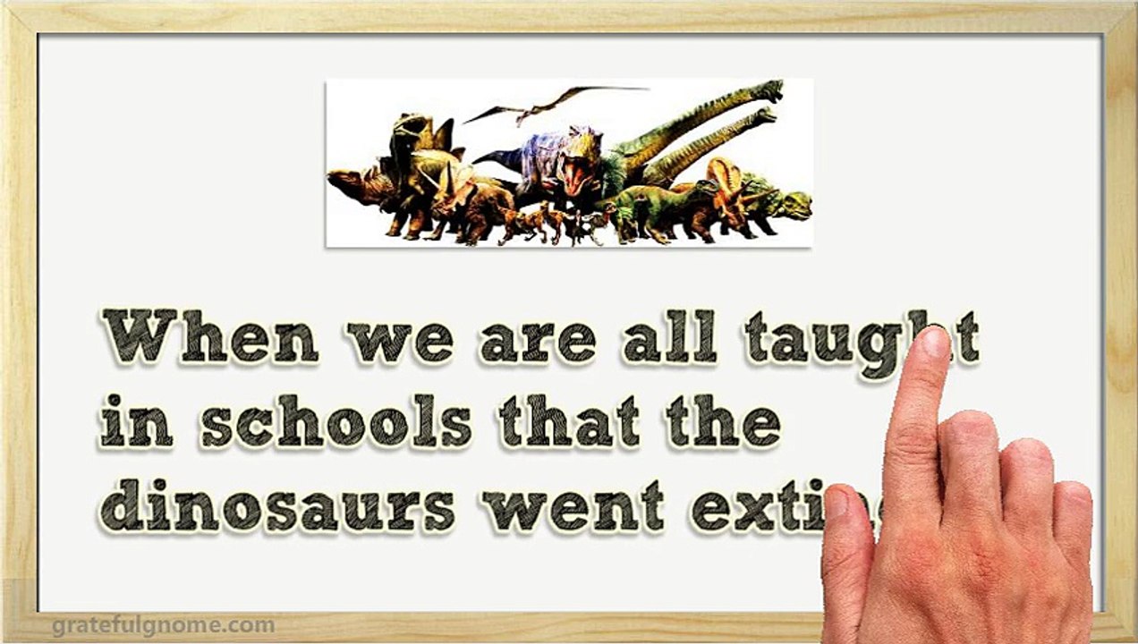 Attracting Birds To Your Backyard