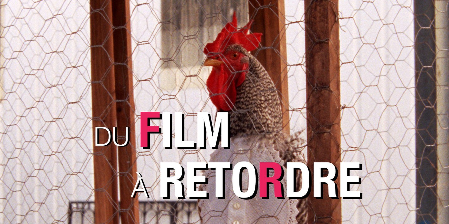 Crise, érections et incendies : l'étrange monde des "Mille et une nuits"