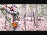 Muzzleloading Squirrel Hunting:  Guns and Methods