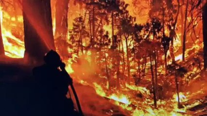 California On Fire 17,000 Acres San Bernardo Threatened