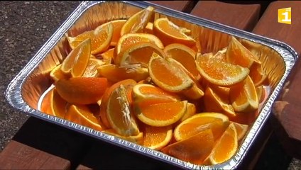 Le succès populaire des 25 km de Miquelon