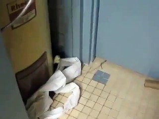 Toronto MAFIA 11 Little Italy Condo Water Damage & Toxic Mold Bengino Negligence