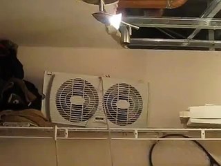 Toronto MAFIA 10 Little Italy Condo Water Damage & Toxic Mold at 456 College Street