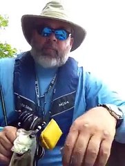 Bass on a fly rod