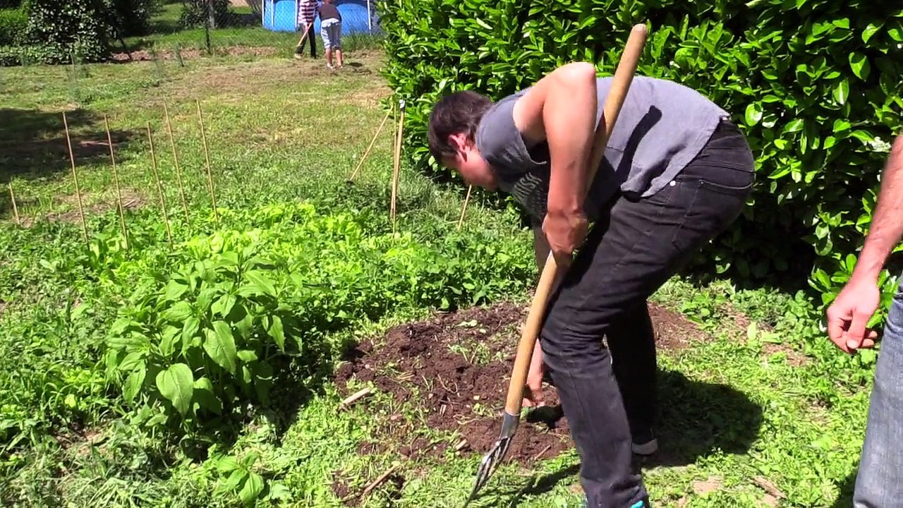 Le programme Eco collèges 81