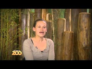 Une saison au zoo - Episode 8 (Saison 1)