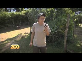 Une saison au zoo - Episode 10 (Saison 2)