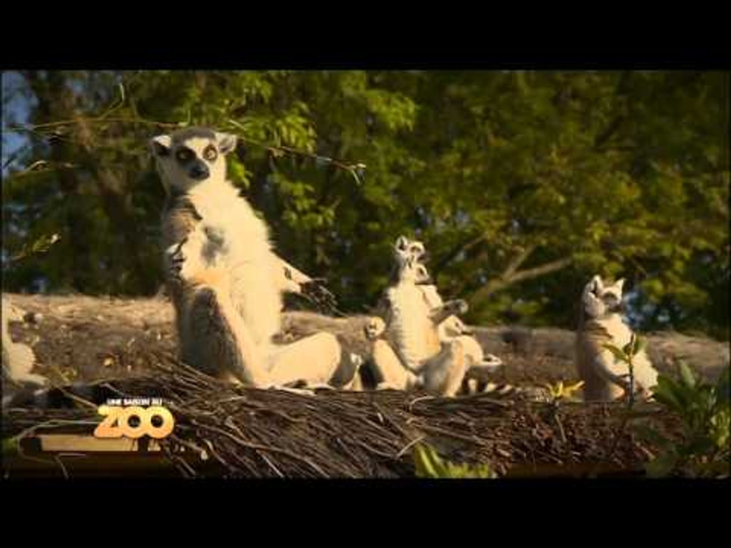 Une Saison Au Zoo Episode 15 Saison 1 Video Dailymotion