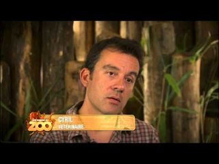 Une saison au zoo - Episode 37 (Saison 2)
