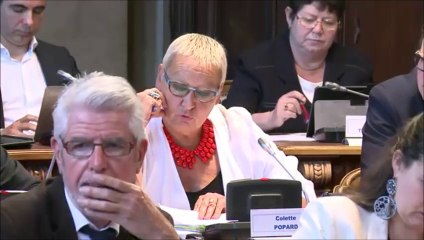 Colette POPARD. Discussion générale. Session du 19 juin 2015