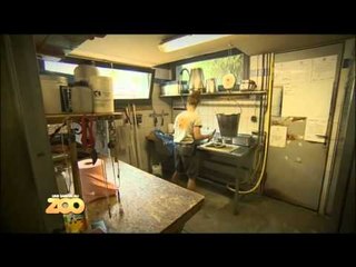 Une saison au zoo - Episode 26 (Saison 2)