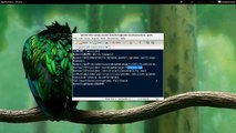 Compiz with Gnome Classic (Fallback Mode) - Ubuntu 11.10