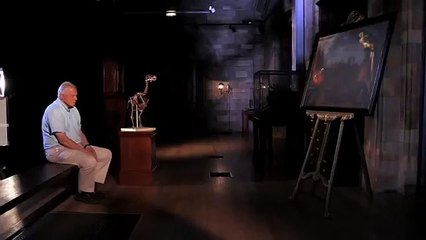 The Dodo: David Attenborough's Natural History Museum Alive 3D