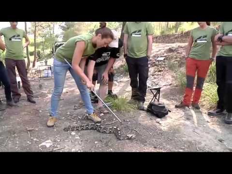 TV3 - Veterinaris - Veterinaris - capítol 120