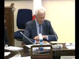 Roma - Mercato e concorrenza, audizione esperti (19.06.15)