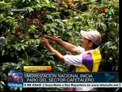 Colombia: cafetaleros exigen subsidio y mejores condiciones de trabajo