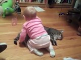 O gato mais calmo no mundo, uma criança faz com ele o que ele quer.