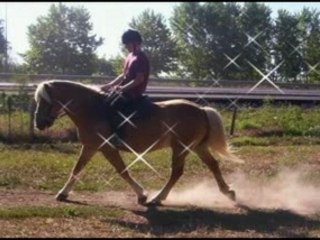 Souvenir IPO: Vidéo de l'IPO et Moi