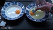 Cool Science Experiments you can do with Eggs  7 Simple Life Hacks with EGGS at home