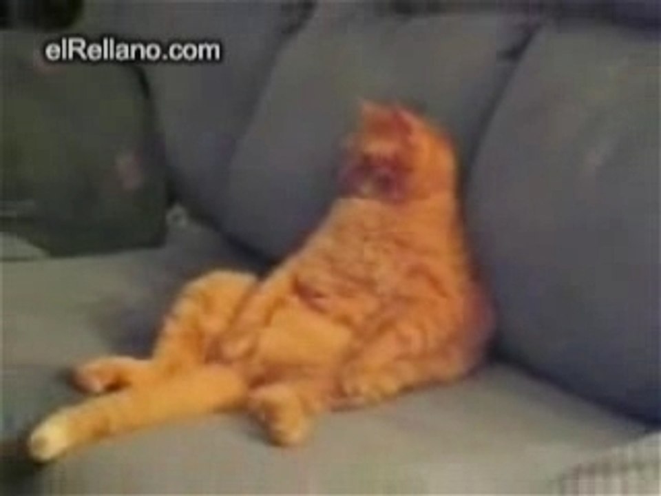 Garfield-Real