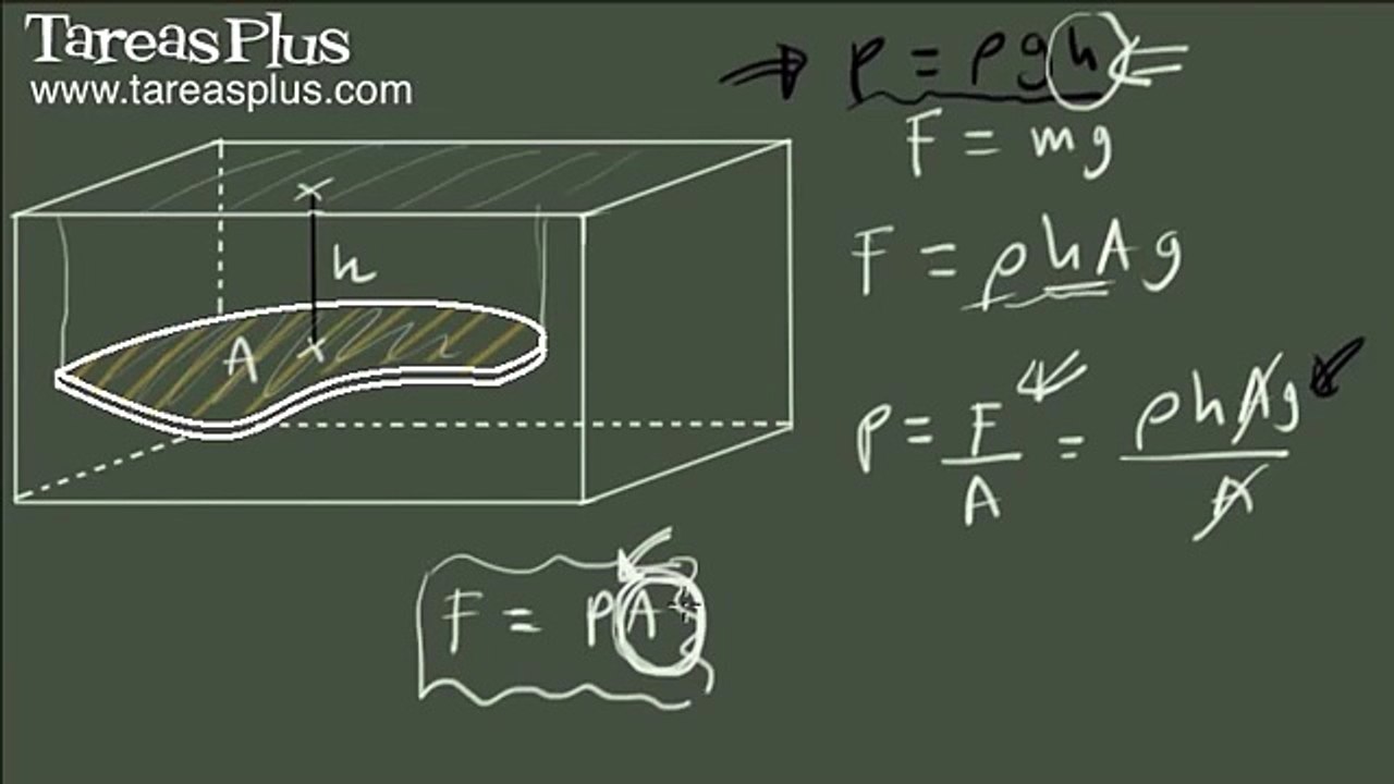 Presión y fuerza ejercida por un fluido (conceptos para cálculo integral)