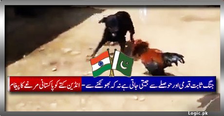 Perfect Answer To Indian Baking Dog By A Calm, Cool and Focused Pakistani Co-c-k