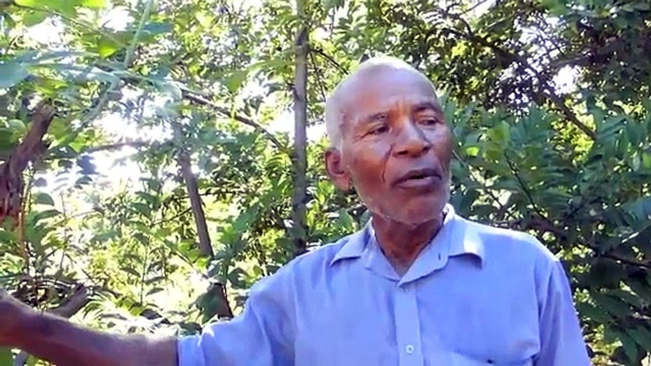 Les impacts de la déforestation à Madagascar   changements climatique et sécheresse