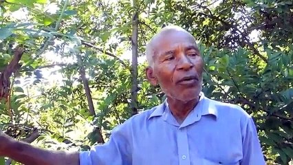 Les impacts de la déforestation à Madagascar   changements climatique et sécheresse