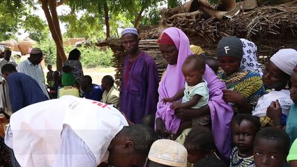 Another Weapon in the Fight Against Malaria