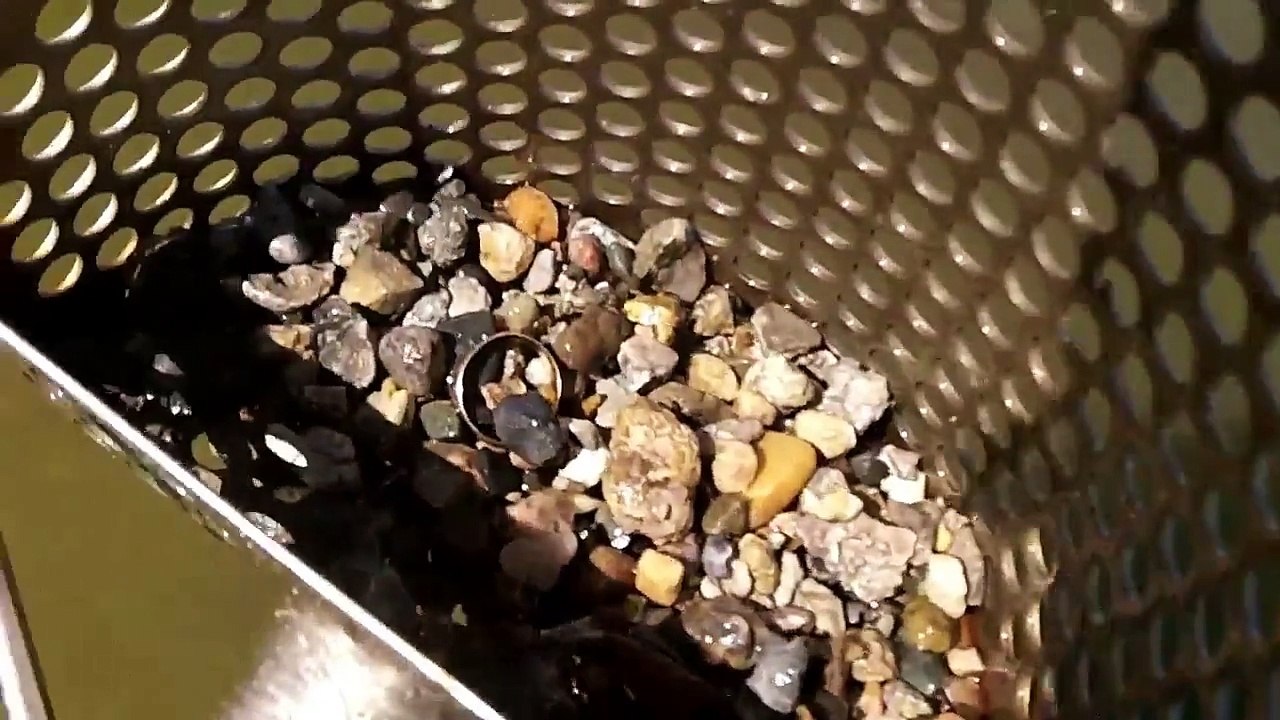 Metal Detecting Beach 14K Gold (First Gold with New Detector)