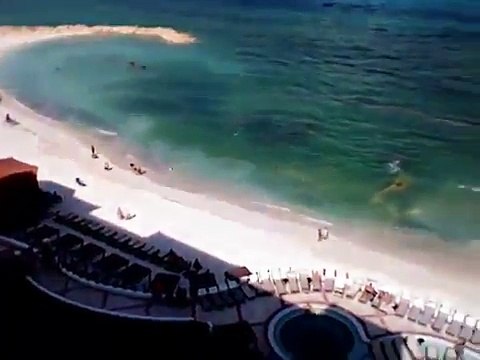 Drizzy TV: Drake Live From...