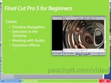 Final Cut Pro Basic Editing: Video QuickStart, Clip 1