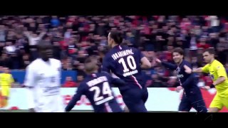 Zlatan Ibrahimovic | Incredible Goals and Skills