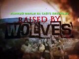 Волчье Логово 2015 Полный Фильм Смотреть Онлайн в Хорошем Качестве