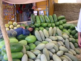 Panjsher Afghanistan - Ahmad Zahir  احمد ظاهر - بیا بریم به سنگران