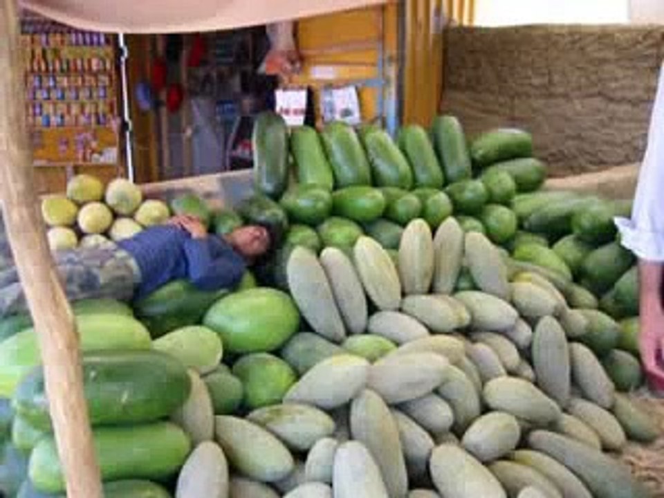 Panjsher Afghanistan - Ahmad Zahir  احمد ظاهر - بیا بریم به سنگران