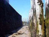 Les Grandes Marées à Saint-Malo : Les plus grandes d'europe