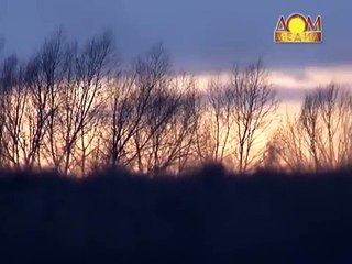 Охота на гуся с Леонидом Костюковым Часть 1