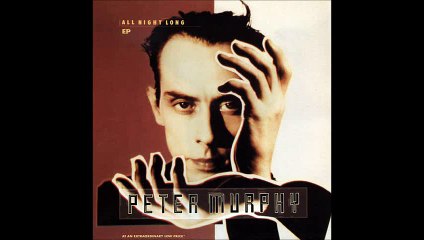 Peter Murphy ‎- All Night Long (A1)