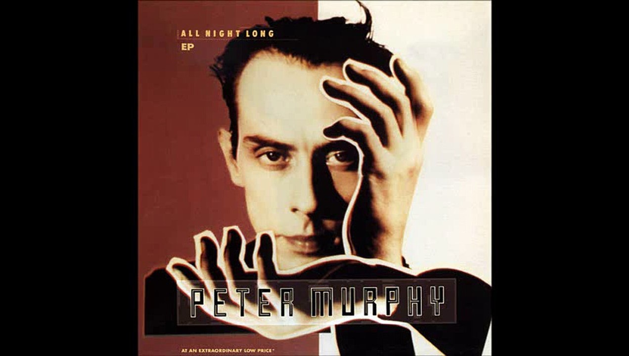 Peter Murphy ‎- All Night Long (A1)