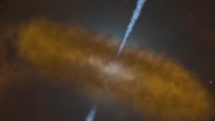 Are blackholes really just harmless holograms?