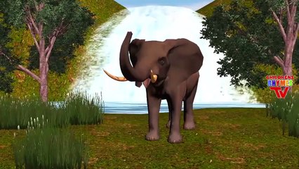 Finger Family Nursery Rhymes Elephant Cartoons for Children | Finger Family Children Nurse