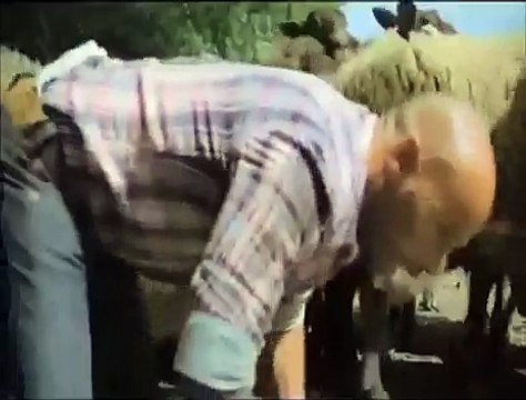 Pub canal+ - Platane - Eric Judor - 3 finales