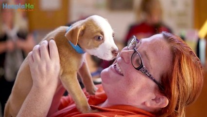 Snuggle Delivery Relieves Workplace Stress With Puppies