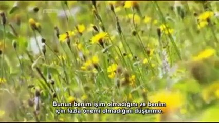 Darwin'in Mücadelesi: Türlerin Kökeni'nin Evrimi